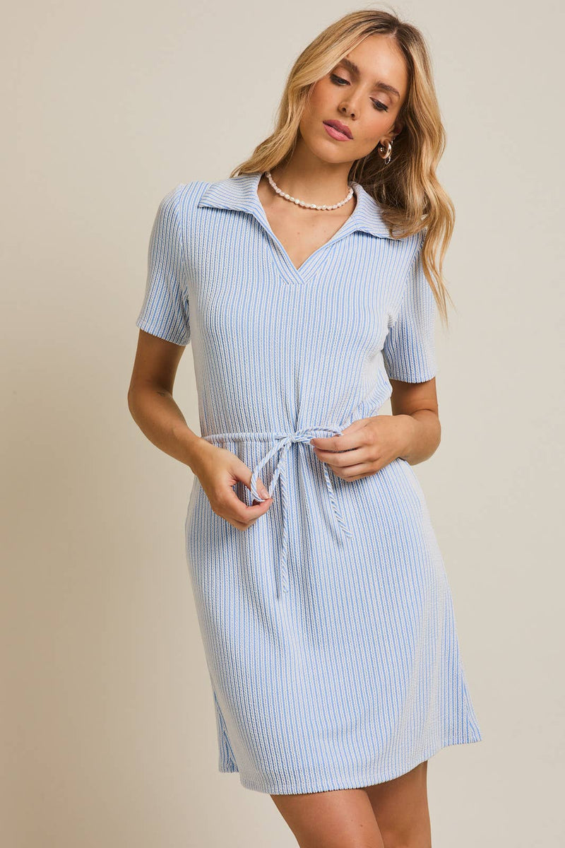 Half Sleeve Polo Mini Dress