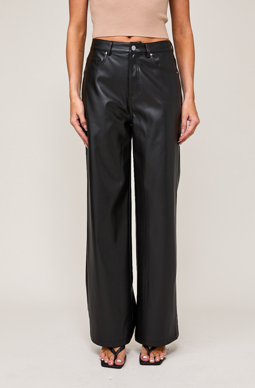 Black  Faux Leather Pants