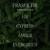 Fraser Fir Hanging Air Freshener