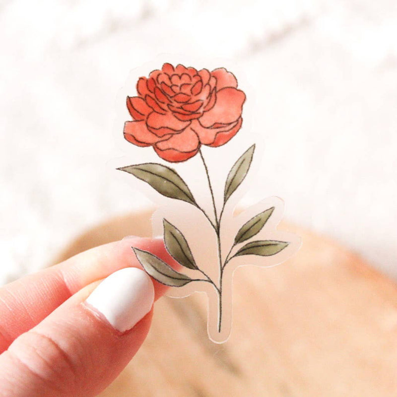 Clear Ranunculus Sticker 1.48x2.3 in.