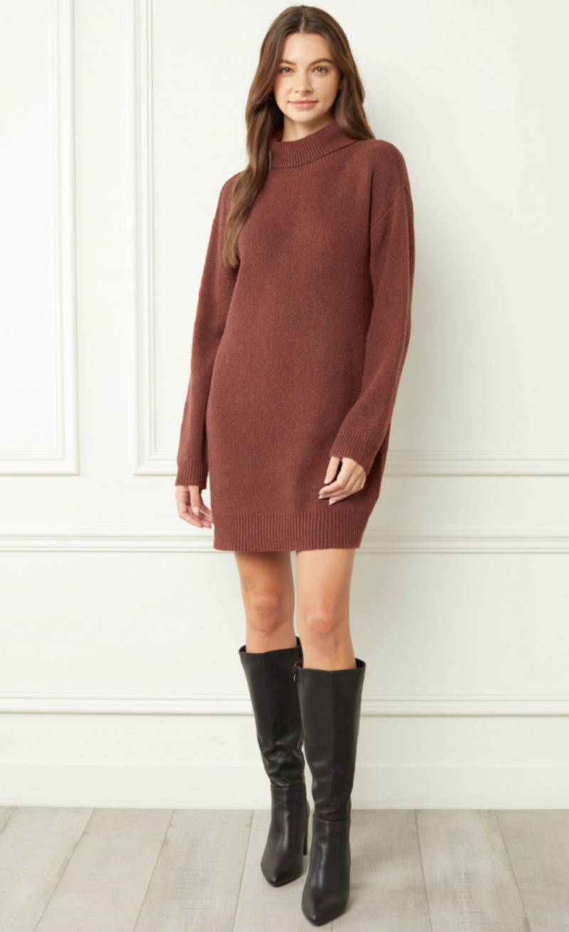 Cinnamon Turtleneck Sweater Dress